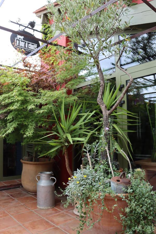 Grand loft de charme, place du village à Thuir Extérieur photo